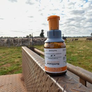 NumOcaine Pain Relief bottle